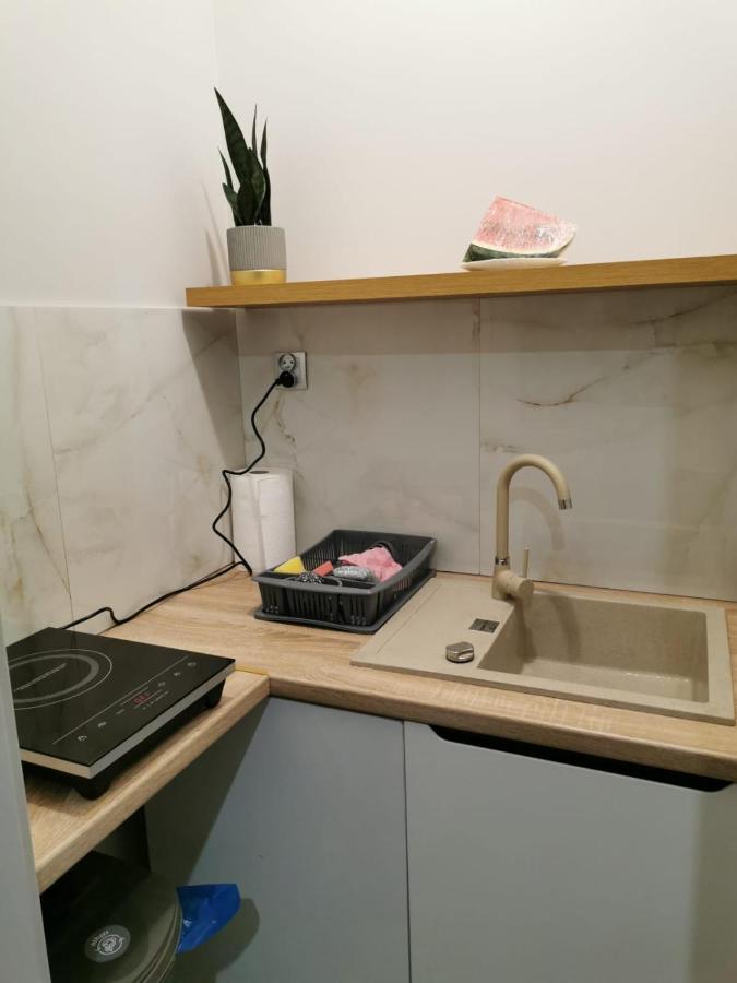 Apartamenty U Maksa Przemyśl Exterior foto